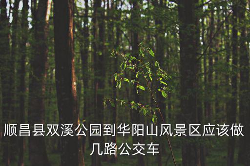 順昌縣雙溪公園到華陽山風景區應該做幾路公交車
