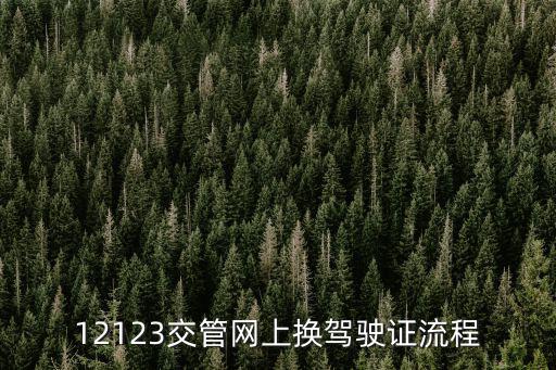 12123交管網(wǎng)上換駕駛證流程