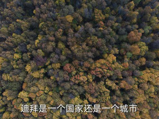 迪拜是一個國家還是一個城市