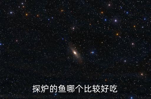 探爐的魚哪個比較好吃