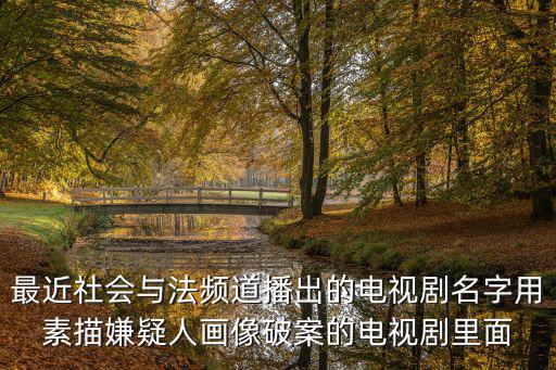 最近社會與法頻道播出的電視劇名字用素描嫌疑人畫像破案的電視劇里面