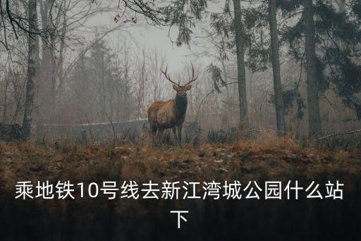 乘地鐵10號線去新江灣城公園什么站下