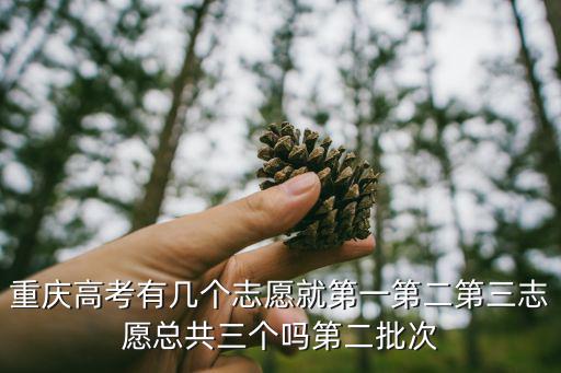 重慶高考志愿，請(qǐng)問2015重慶高考志愿填寫分第一第二志愿嗎平行的志愿最多可有幾