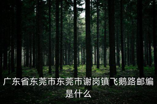 飛鵝路，在柳州哪里最適合購(gòu)物