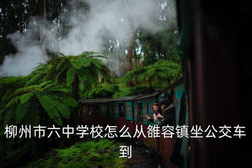 柳州市六中學校怎么從雒容鎮坐公交車到