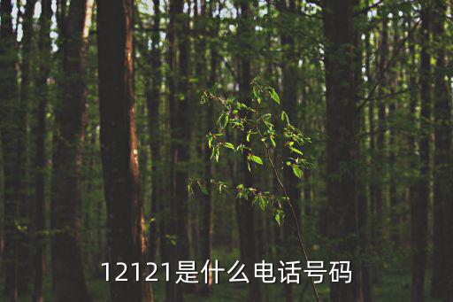 12121是什么電話號碼