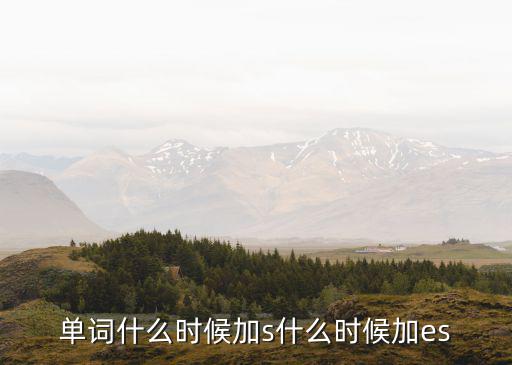 單詞什么時候加s什么時候加es