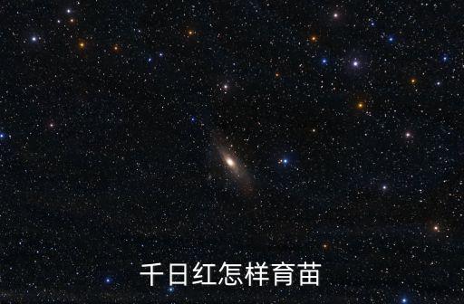 千日紅怎樣育苗