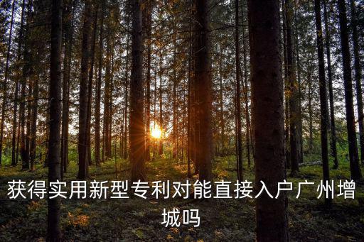 獲得實(shí)用新型專利對(duì)能直接入戶廣州增城嗎