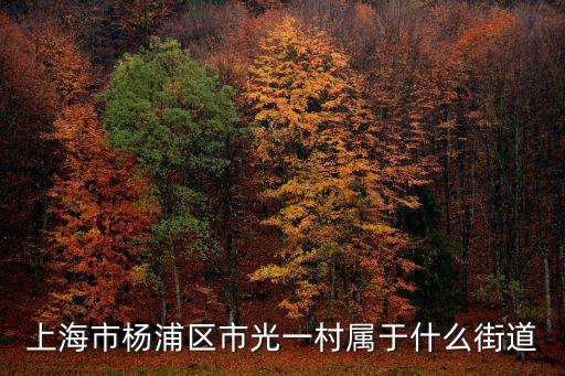 上海市楊浦區市光一村屬于什么街道