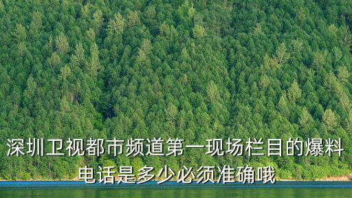 深圳衛視都市頻道第一現場欄目的爆料電話是多少必須準確哦