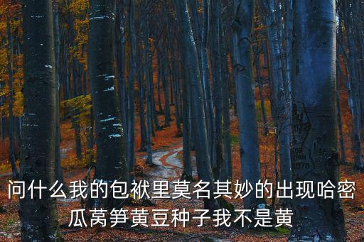問什么我的包袱里莫名其妙的出現哈密瓜萵筍黃豆種子我不是黃