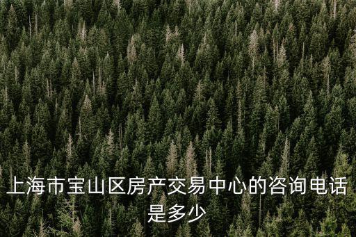 上海市寶山區房產交易中心的咨詢電話是多少