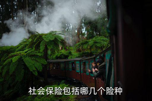 社會保險包括哪幾個險種