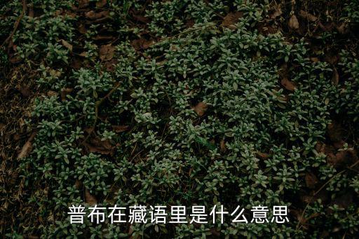 普布，普布朗杰是哪里人啊