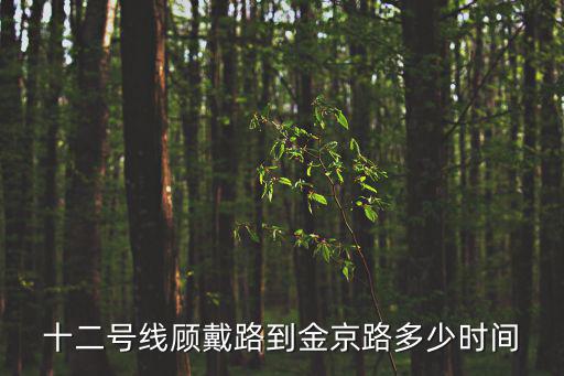 十二號線顧戴路到金京路多少時間