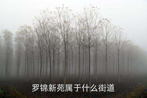 羅錦新苑屬于什么街道