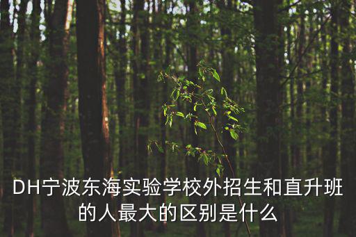 DH寧波東海實驗學(xué)校外招生和直升班的人最大的區(qū)別是什么