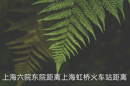 上海六院東院距離上海虹橋火車站距離