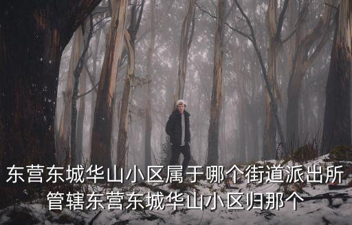 東營東城華山小區屬于哪個街道派出所管轄東營東城華山小區歸那個