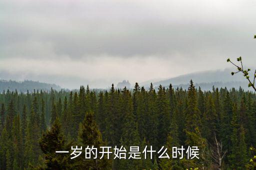一歲，一歲的開始是什么時候