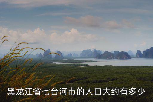 黑龍江省七臺河市的人口大約有多少
