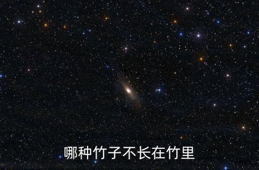 榆竹里，哪種竹子不長(zhǎng)在竹里
