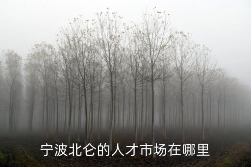 北侖人才市場，寧波北侖區(qū)人才市場
