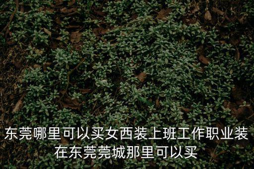 東莞哪里可以買女西裝上班工作職業(yè)裝在東莞莞城那里可以買