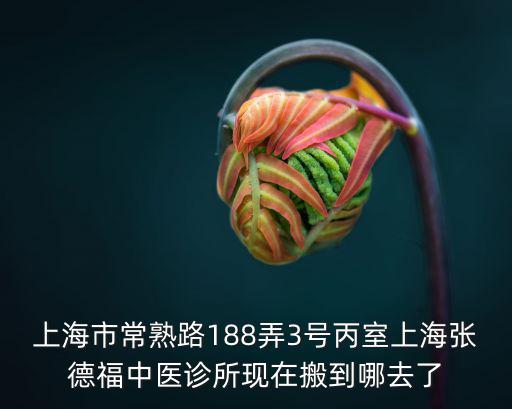 張德福，神醫(yī)喜來樂結局中張德福娶誰為妻