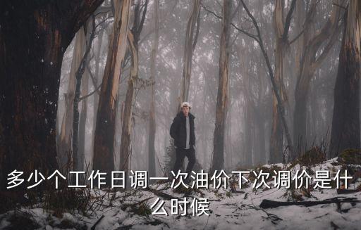 多少個工作日調一次油價下次調價是什么時候
