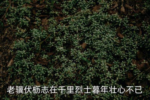 中華英烈網，老驥伏櫪志在千里烈士暮年壯心不已