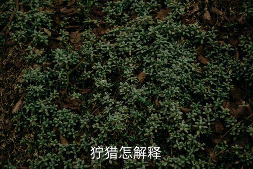 獰獵怎解釋