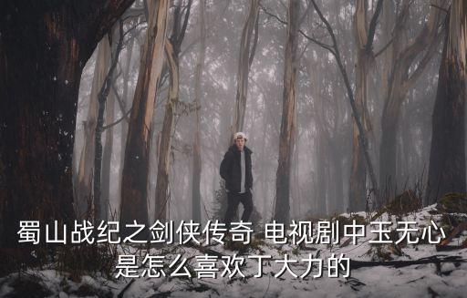 蜀山戰紀之劍俠傳奇 電視劇中玉無心是怎么喜歡丁大力的