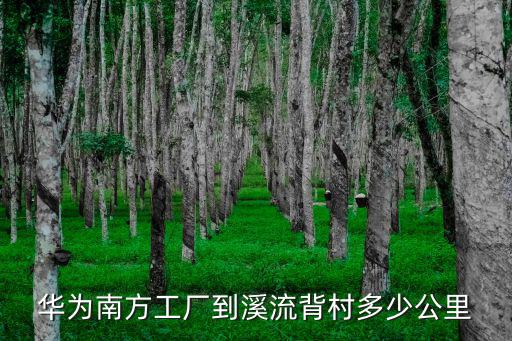 華為南方工廠到溪流背村多少公里