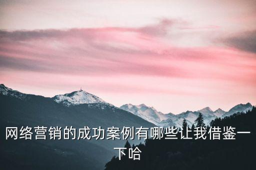 網絡營銷的成功案例有哪些讓我借鑒一下哈