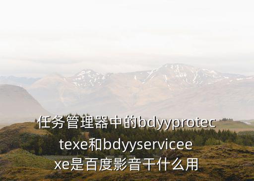 任務管理器中的bdyyprotectexe和bdyyserviceexe是百度影音干什么用