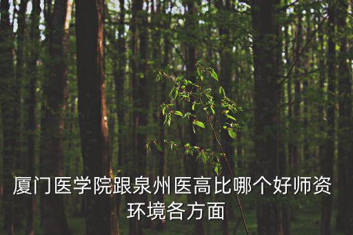 廈門醫學院跟泉州醫高比哪個好師資 環境各方面