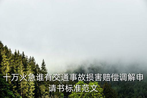十萬火急誰有交通事故損害賠償調解申請書標準范文