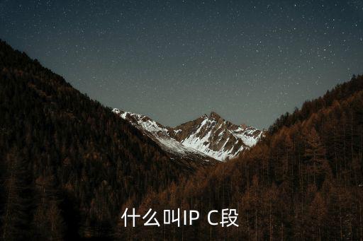 c段，2013年高考二表c段什么意思