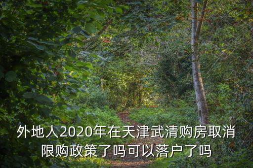 外地人2020年在天津武清購房取消限購政策了嗎可以落戶了嗎