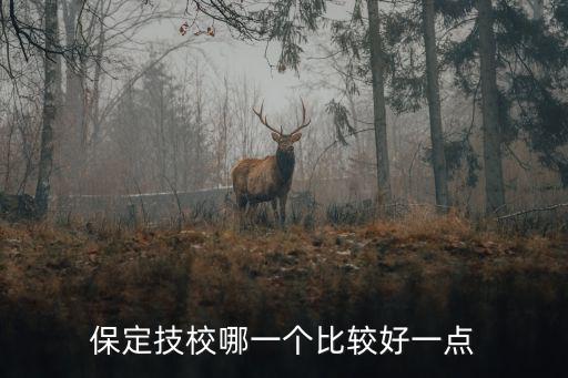 保定技校哪一個比較好一點