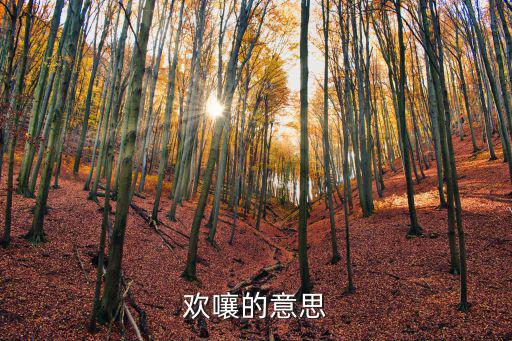 歡嚷的意思