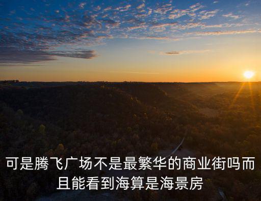 騰飛廣場，可是騰飛廣場不是最繁華的商業(yè)街嗎而且能看到海算是海景房