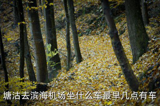 塘沽去濱海機場坐什么車最早幾點有車