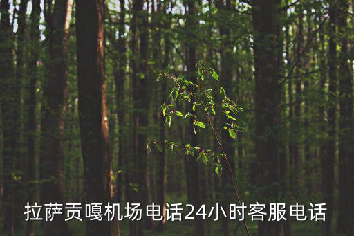 拉薩貢嘎機場電話24小時客服電話
