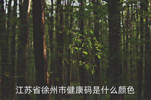 江蘇省徐州市健康碼是什么顏色