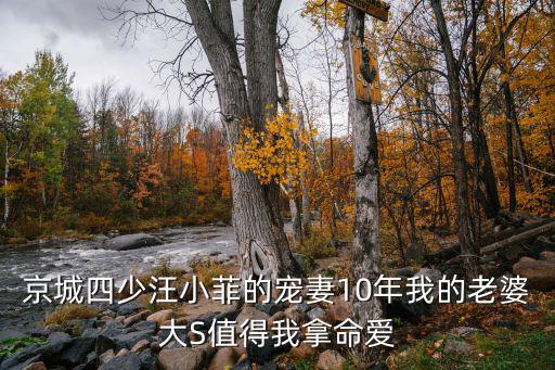 京城四少汪小菲的寵妻10年我的老婆大S值得我拿命愛(ài)