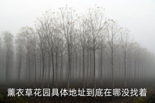 薰衣草花園具體地址到底在哪沒找著