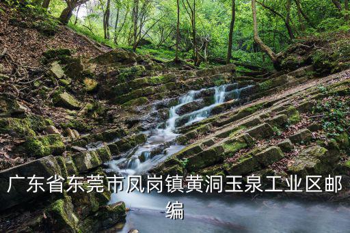 廣東省東莞市鳳崗鎮黃洞玉泉工業區郵編